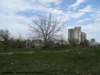 Imagine atasata: Bega - 2014.03.23 - 06.jpg
